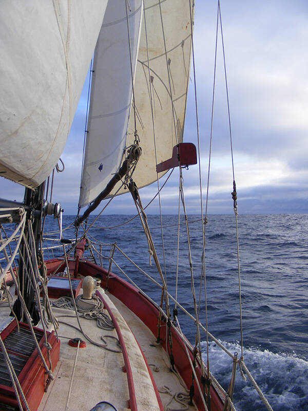 Intense Sailing